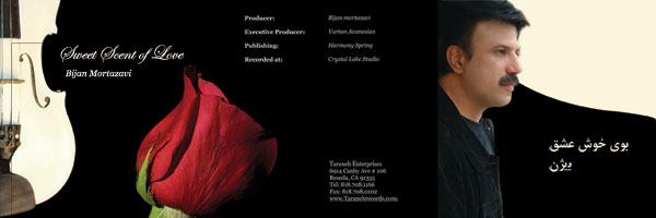 Posters , Brochures & Ads